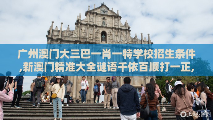 广州澳门大三巴一肖一特学校招生条件,新澳门精准大全谜语千依百顺打一正,拒绝过度包装浪费-升级分析、专家解读解释与落实