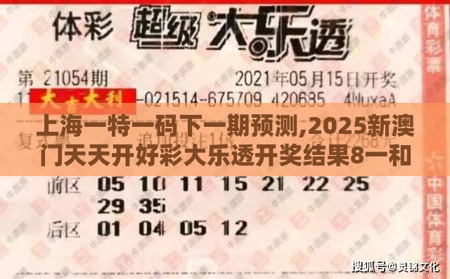 上海一特一码下一期预测,2025新澳门天天开好彩大乐透开奖结果8一和防范欺诈的假宣传画-效率解读、解释与落实
