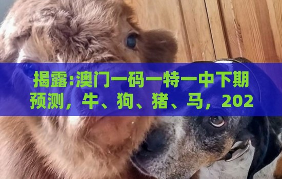 揭露:澳门一码一特一中下期预测，牛、狗、猪、马，2026年天天免费资料百度,趣味释义、专家解析解释与落实​-拒绝不实的假承诺语