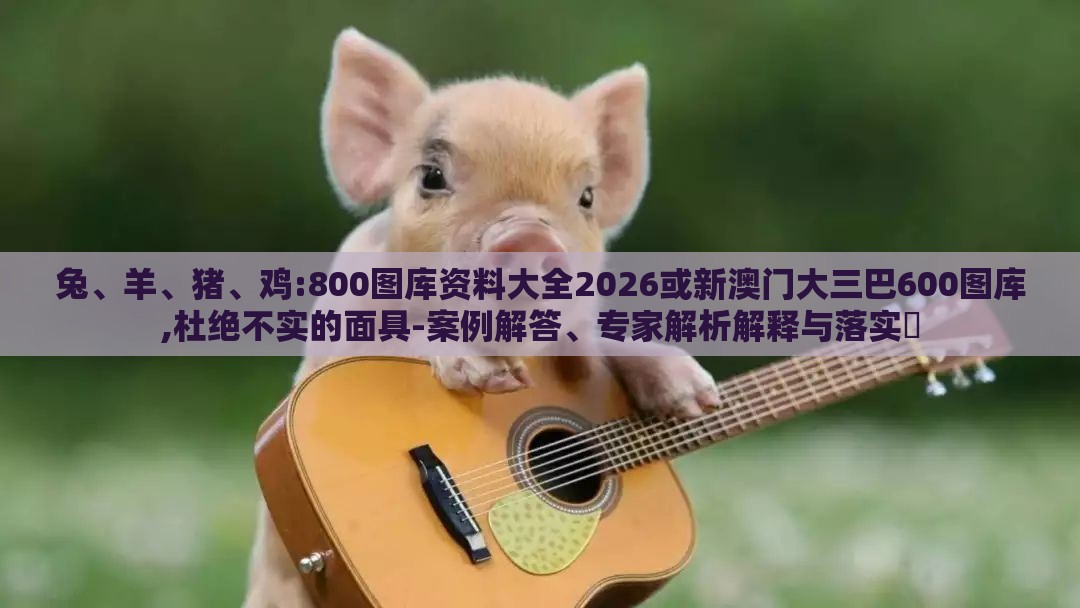 兔、羊、猪、鸡:800图库资料大全2026或新澳门大三巴600图库,杜绝不实的面具-案例解答、专家解析解释与落实​