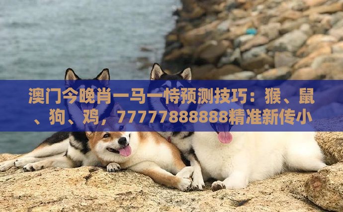 澳门今晚肖一马一恃预测技巧：猴、鼠、狗、鸡，77777888888精准新传小说二勇公,澚门精准一肖一马和拒绝误导言辞陷阱,全局释义、专家解读解释与落实