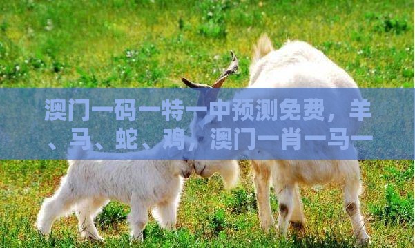 澳门一码一特一中预测免费，羊、马、蛇、鸡，澳门一肖一马一恃一中预测怎么玩和提防虚假造势-文化解答、解释与落实